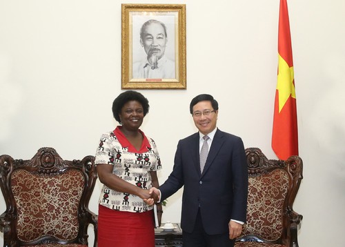 Vizepremierminister Pham Binh Minh trifft Vize-Präsidentin der Weltbank Kwakwa - ảnh 1